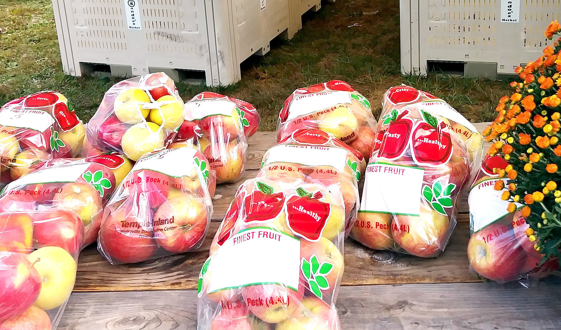 No. 1 – Fresh apples, of course!